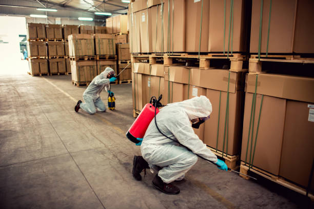 Best Best Pest Control Companies  in Dwight, IL