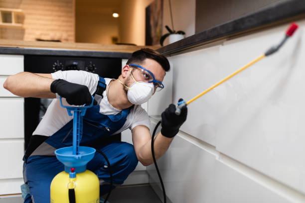 Best Exterminator Services  in Dwight, IL