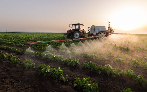 Best Best Pest Control Companies  in Dwight, IL