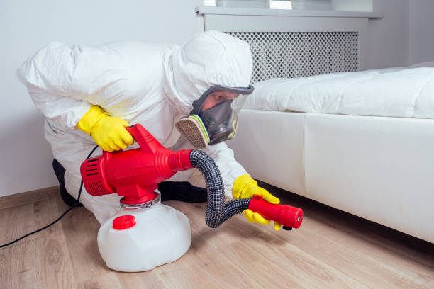 Best Mosquito Control Services  in Dwight, IL