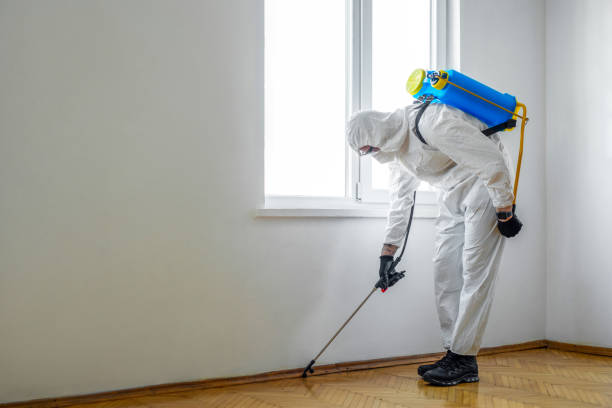 Best Pest Prevention Services  in Dwight, IL