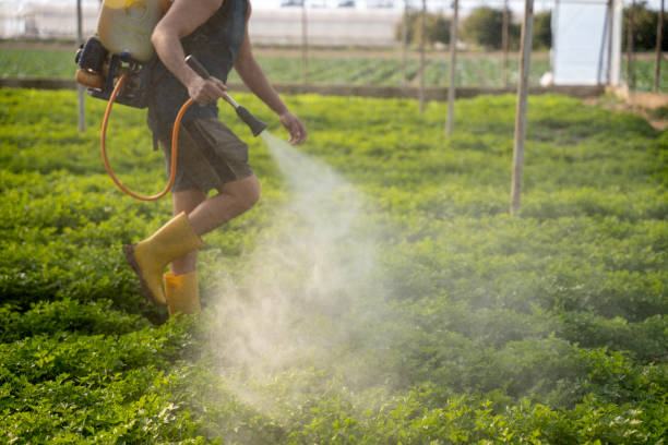 Pest Prevention Services in Dwight, IL