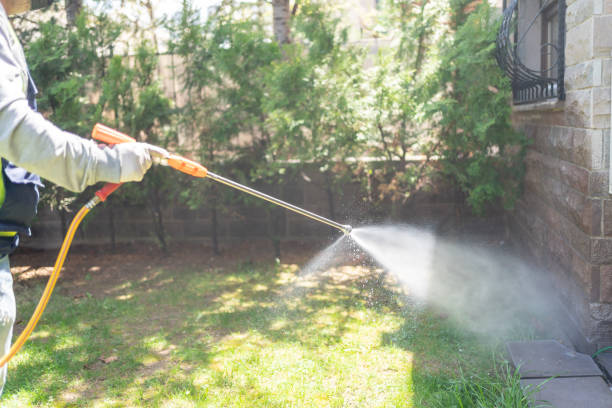 Best Emergency Pest Control  in Dwight, IL