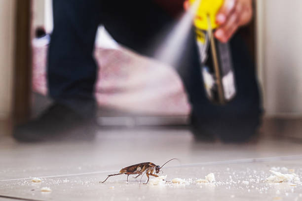 Best Pest Removal Services  in Dwight, IL