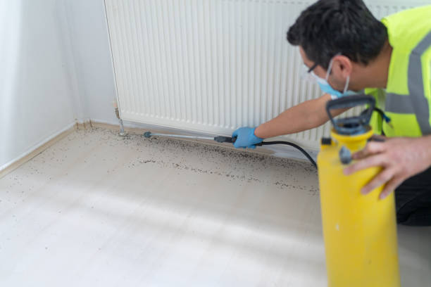 Best Local Pest Control Services  in Dwight, IL